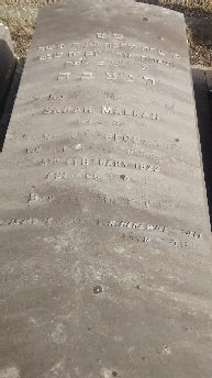 Speculand, Sarah Malkah (nee Rosenwine)