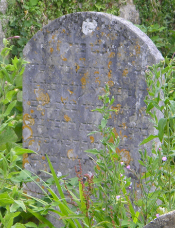 Morris, Aaron