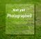Gompertz, Judith