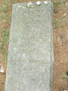 Morpurgo, Salomon
