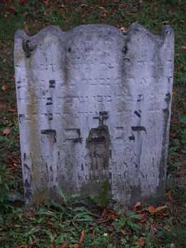 Levy, Joseph
