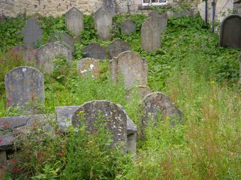 Bath Jewish Burial Ground - General view