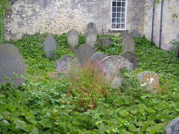Bath Jewish Burial Ground - General view