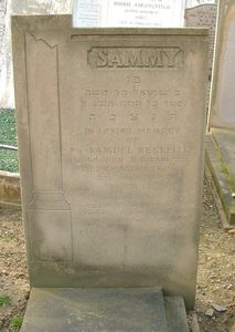 Begleiter S  WW2 29-07-1943 (CWGC as Bergleiter)