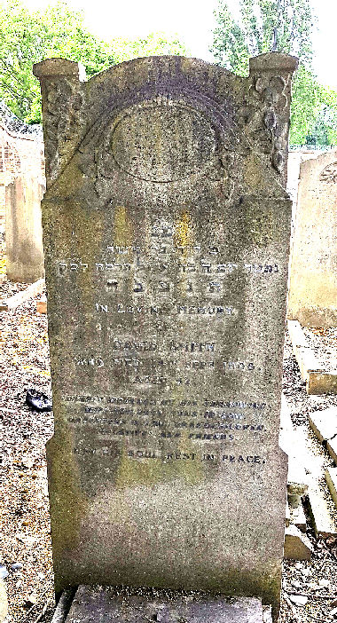 Smith (Zmidek), David