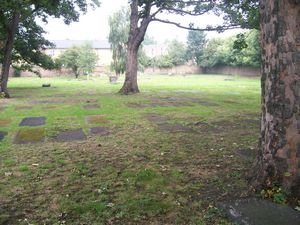 Velho Sephardic Cemetery - General view